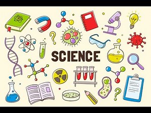 Separating Mixtures [Hand Picking (Full Process)]