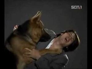 Comisario Rex: Intros de la serie con Tobias Moretti, Gedeon Burkhard y Alexander Pschill