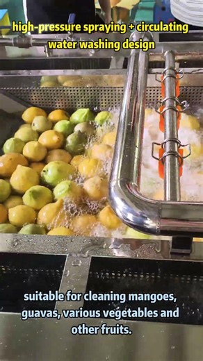 Industrial High Pressure Fruit & Vegetable Washing Machine