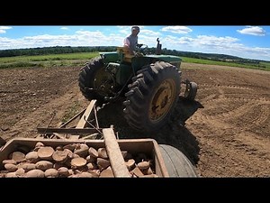 Planting potatoes 1940’s style!