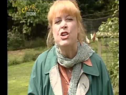 Come Outside - Geese