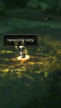 TBC duel vs Paladin #worldofwarcraft #wow #classic #pvp #duel #tbc #burningcrusade #mmo