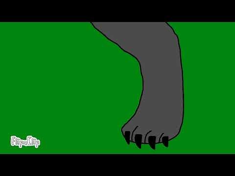 Kara WereCat transformation (YouTube friend) animation