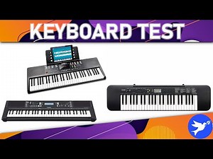 ᐅ Keyboard Test 2025 | Die besten Keyboards vorgestellt
