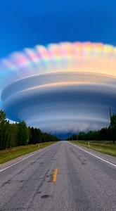 Incredibly rare supercell with an iridescent crown captured near Flagstaff, Arizona ☁️🌈 This isn’t a filter or CGI—it’s cloud iridescence forming atop a powerful storm. As sunlight passes through a thin layer of uniformly sized ice crystals in the cloud’s crown, the light diffracts into pastel rainbow bands, creating this glowing, stacked halo effect. Moments like this happen only when timing, storm structure, and sunlight align perfectly. For a brief window, the atmosphere turns into art—and t