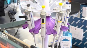 How does quarantine and self-isolation work?