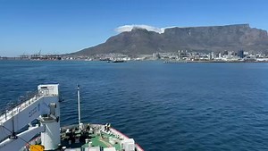 Daily Dispatch on Reels