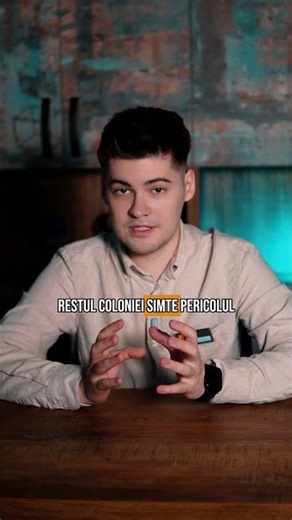 De ce NU scapi de furnici cu spray-ul din supermarket 🐜⚠️