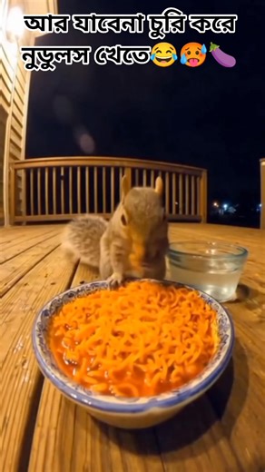 28 reactions · 34 shares | #funnyreels Mr Bean #ও ললিতে আর যাব না চুরি করে নুডুলস খেতে ফানি ভিডিও সবাই সাপোর্ট দিয়ে পাশে থাকবেন ✌️ | Muhammed Morsalin Rahman | Facebook