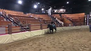 Our trick-riders put lots of work into their craft. Here’s Zane flying off the back end! 😮 Catch him at Australian Outback Spectacular's Heartland 🐴 #outbackspectacular | Australian Outback Spectacular - Gold Coast, Australia