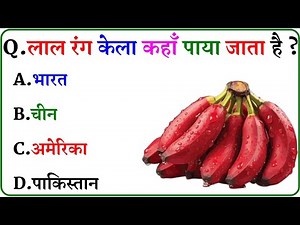 GK Question || GK In Hindi || GK Question and Answer || GK Quiz ||
