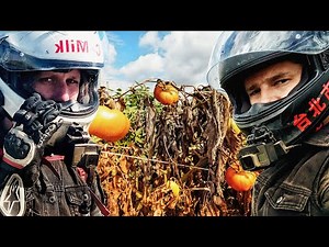 China is Trying To "Starve the World"