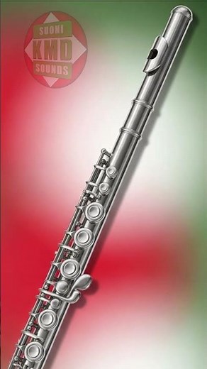 Il suono reale del Flauto Traverso: leggerezza e armonia – SUONI DI STRUMENTI MUSICALI 🎶