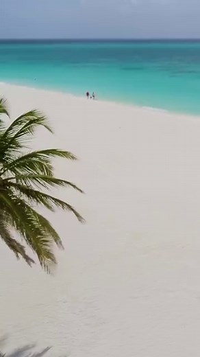 83K views · 1.2K reactions | Eagle Beach! The #1 beach in the Caribbean awaits you. When are you coming back to visit? #Beach #Travel #TravelTip #Caribbean #Aruba | Aruba | Facebook