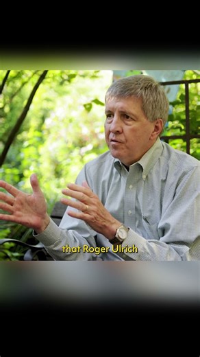 Origins of Neuroarchitecture