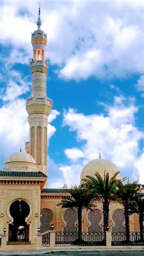 💙مسجد العین UAE💙