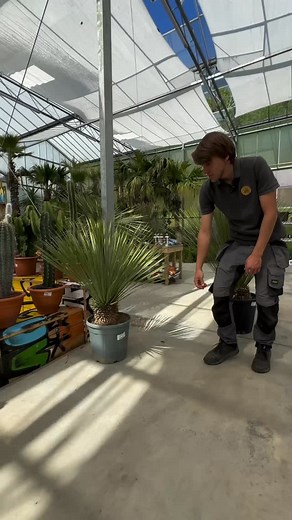 1K reactions · 8 comments | Et si on apportait un air de Californie...