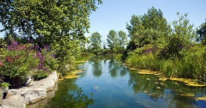 All you need to know about life in Brampton | Living