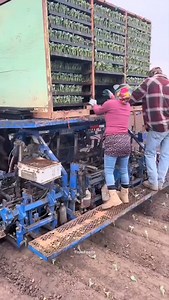 The amazing china | True Facts