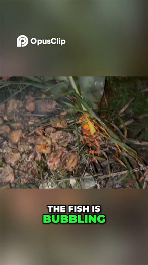 Perfectly Cooked Fish Moist, Soft, and Delicious!