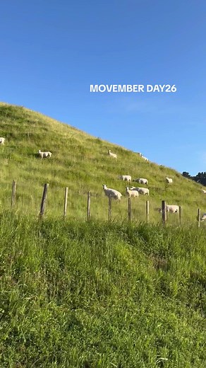Day 26 of running 10km everyday this month for Movember 🐑 Very nostalgic run this AM out in the wops where I grew up 💞 FOUR days left eek - Donate to our boys - nz.movember.com❕#mentalhealthawareness #mentlahealth #movember #running #10km #country #clevedon