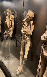 Mummies of Guanajuato - Etsy Canada