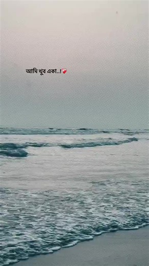 ॥Sayed≈ on TikTok