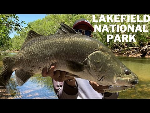 Epic Land-based Barramundi Lure Fishing - Lakefield National Park, Cape York