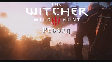 Witcher Reborn Modding Guide