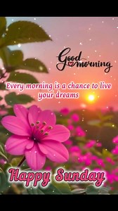 🌺 Happy Sunday => https://bit.ly/4iOhADK 🌟Every morning is a chance to live your dream. Have a beautiful day! 💐❤️ #goodmorning #morningwishes #happysunday #sundayfunday | Good Morning Quotes, Images, Wishes