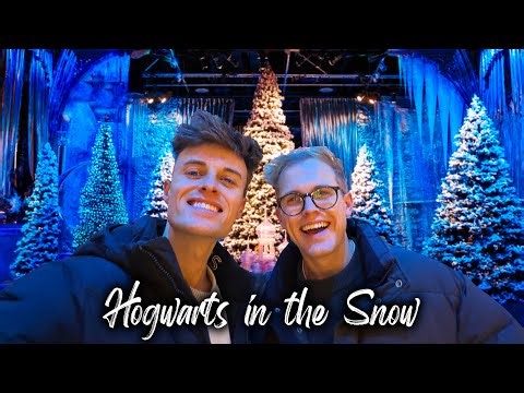 Harry Potter Studios at Christmas, Costco Trip & Present Shopping