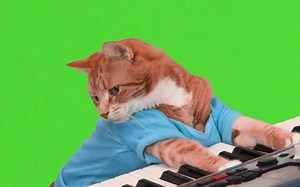 Make Your Own Keyboard Cat - Green Screen