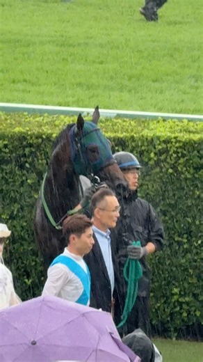 木幡巧也騎手 17勝目 メディチパワー