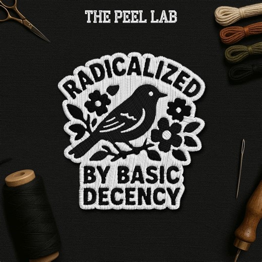 Radicalized by Basic Decency Patch, Protest Liberal Leftist Democracy Human Rights Patches Applique for Clothes Hats Backpacks Jeans - Etsy