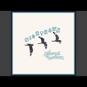 Nighthawk