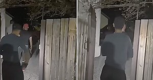 ‘This is not fake’: Two ‘beings’ using ‘cloaking device’ were real during alleged alien encounter, experts say