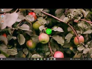 Windows 10 Home : How to Start or Stop Peer Name Resolution Protocol Service