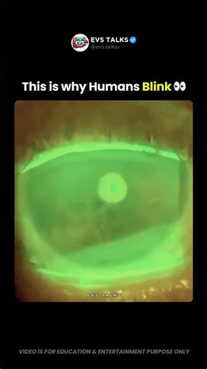 Why You Blink 15,000 Times a Day 👀🧠