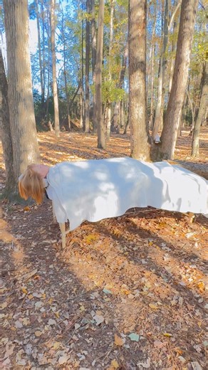 Forest Massage anyone? 🌿✨ At NC Retreats, we take reconnecting you with your true nature to a whole new level. Imagine receiving intuitive, grounding bodywork while surrounded by the whisper of the trees, the scent of fresh earth, and the gentle chorus of the forest. Here, relaxation isn’t just a moment—it’s an experience that brings you back to yourself. If your body is craving peace, presence, and deep nourishment, the forest is ready to hold you. 🤍🌲 #NCRetreats #ForestMassage #NatureHeals 