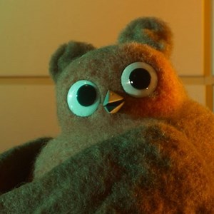 Robin Robin directors Dan Ojari and Mikey Please on how the characters came to life 🍂✨ | Aardman