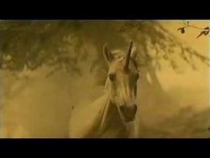 Ridley Scott confirms that Deckard is a Replicant