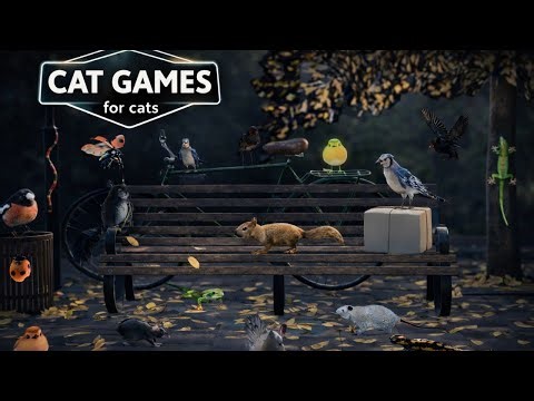 Cat Games 🐱 | Lizard & Gecko Attack Bugs | Mouse & Squirrel Chase Birds 🐦 | Cat TV for Cats 4K 60FPS