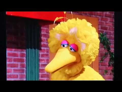 Cookie Monster tries to steal Granny Birds cookies