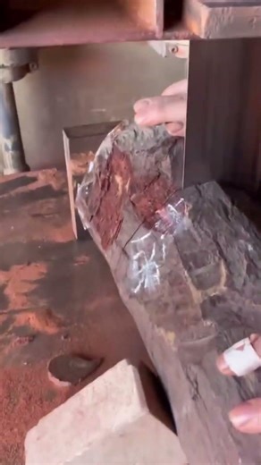 cement machine process for cutting wood #shorts