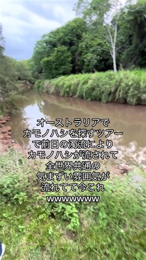 カモノハシツアーで見れる濁流の魅力