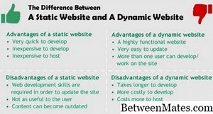Static Website at Dynamic na Website - INTERNET 2026