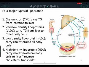 Biochemistry: Lipoproteins