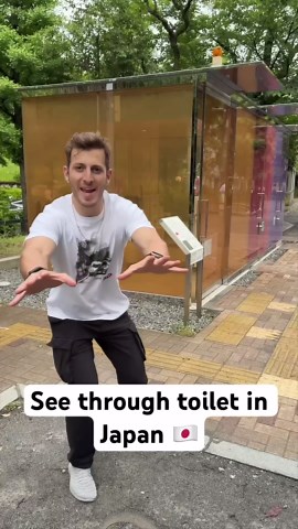 Reviewing Japan's see-through toilet with hidden privacy features