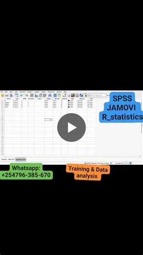SPSS Data Entry Tutorial | Tutor Nicholus posted on the topic | LinkedIn