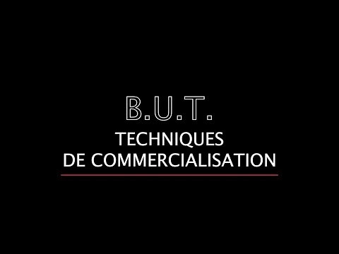 Le BUT Techniques de Commercialisation - IUT Sénart Fontainebleau